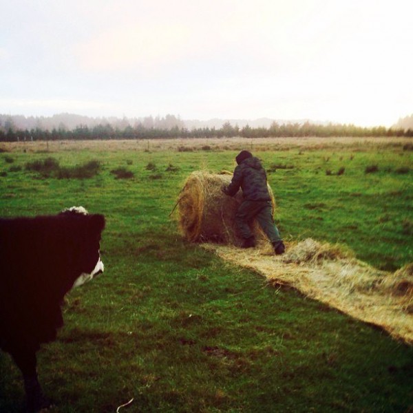 There's rolling in the hay, then there's unrolling the hay. #Work 14 декабря 2013
