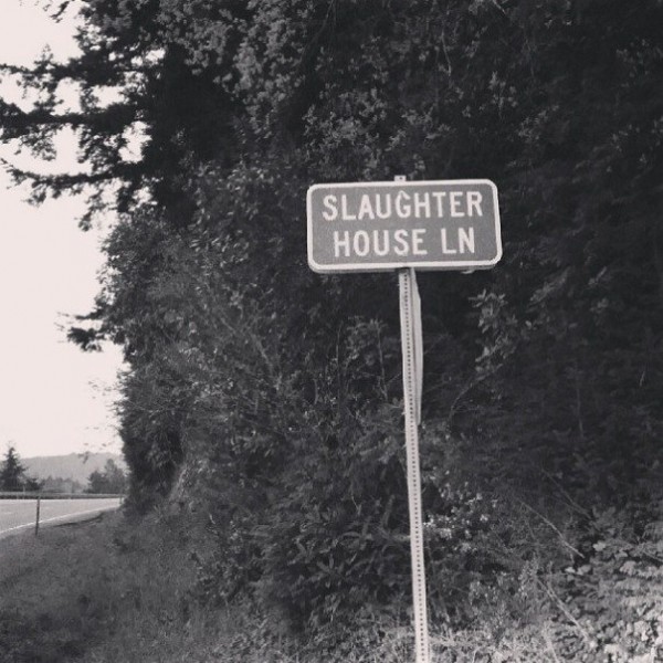Skylar Grey: Slaughterhouse — «Хороший дорожный знак»