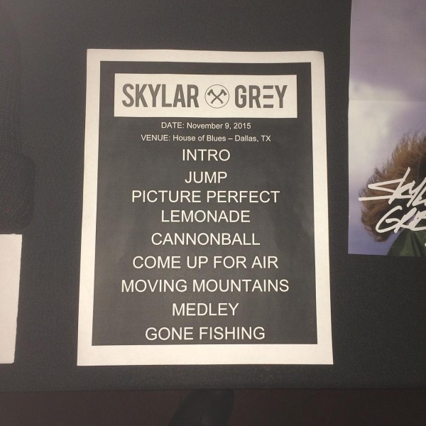 Третий студийный альбом Skylar Grey: подтверждённые треки